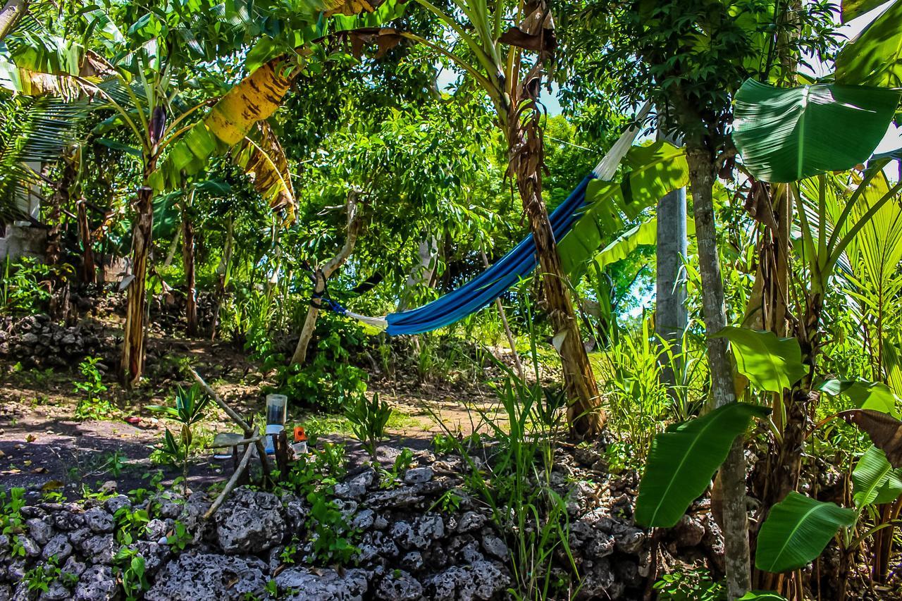 Echo Alam Nusa Lodge Ped Екстер'єр фото