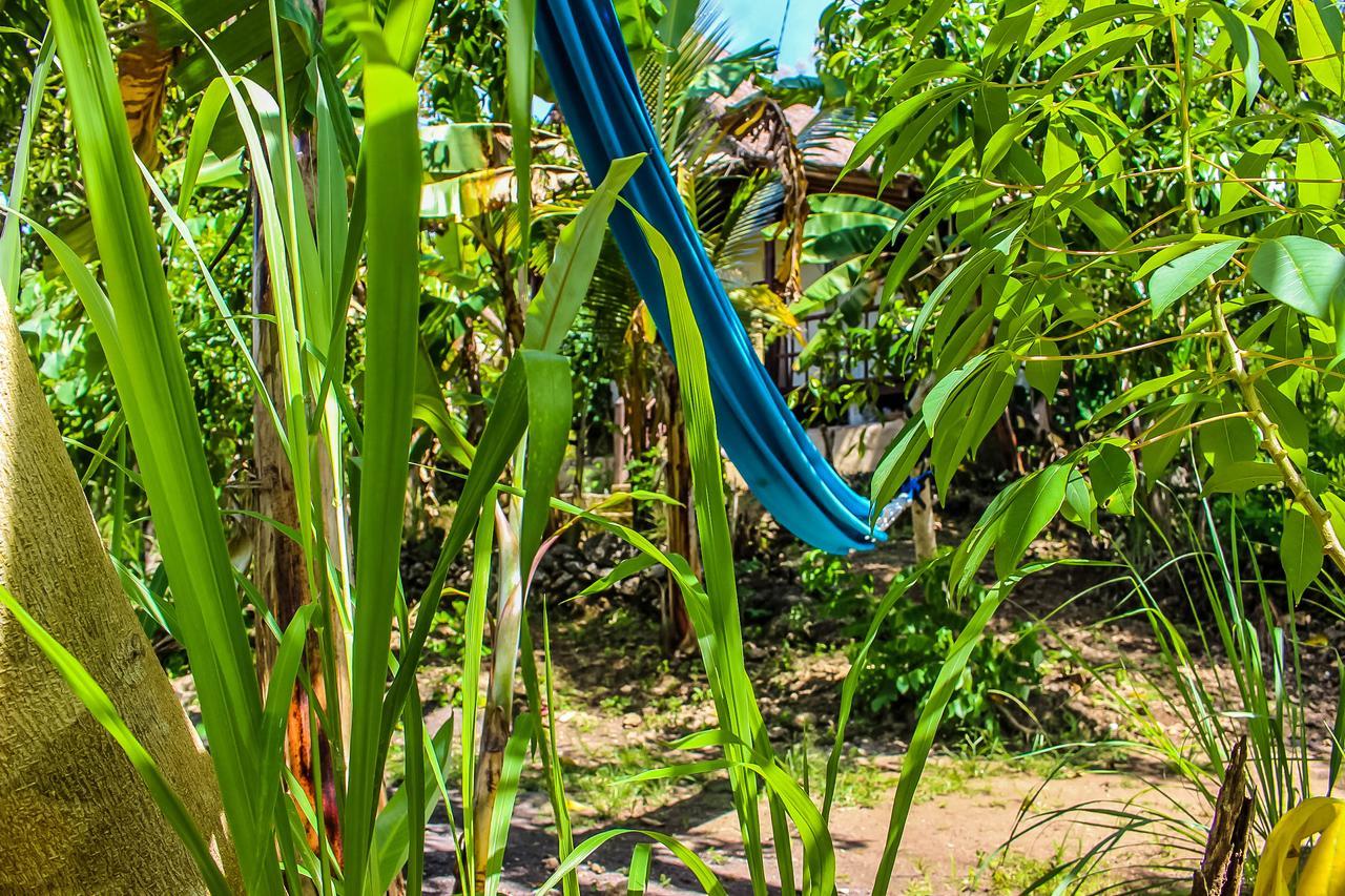 Echo Alam Nusa Lodge Ped Екстер'єр фото