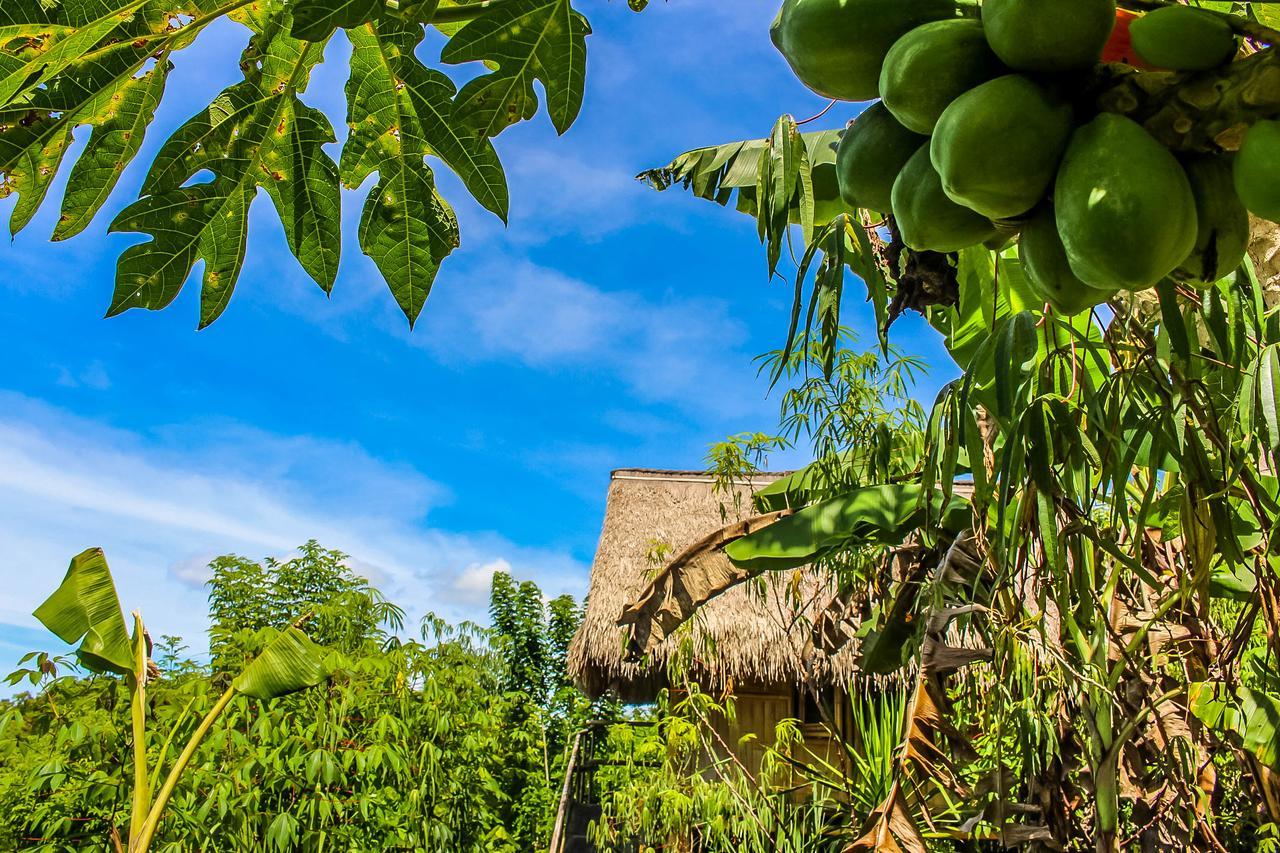 Echo Alam Nusa Lodge Ped Екстер'єр фото