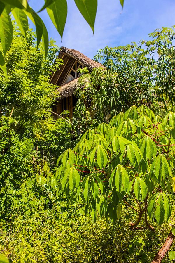 Echo Alam Nusa Lodge Ped Екстер'єр фото